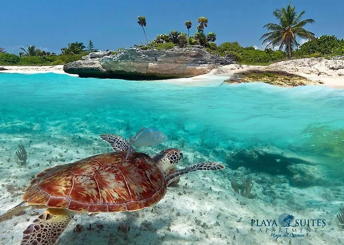 Playa